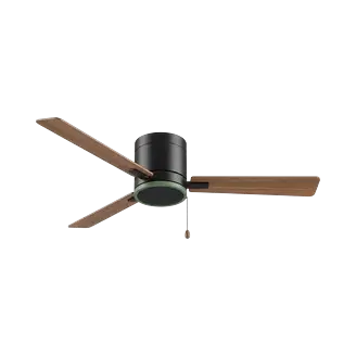 Fan Cleaning