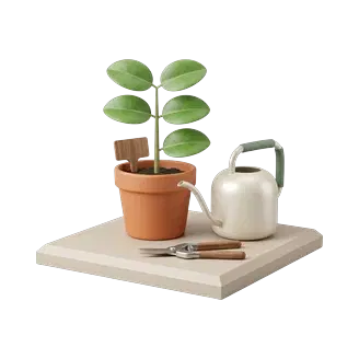 Plant Care